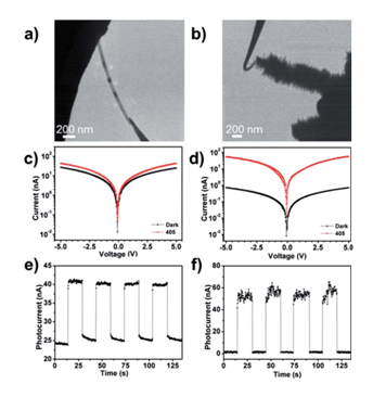 原位透射電子顯微鏡光學-光電測量系統應用案例(圖4) 圖4:(a)(b)分別對應CdS納米帶和CdS/ZnO異質結安置在原位光學-光纖樣品桿中的TEM圖像。(c)(d)分別對應CdS納米帶和CdS/ZnO異質結I-V曲線的開關特性。(e)(f)分別對應CdS納米帶和CdS/ZnO異質結對周期性光信號的響應特性。