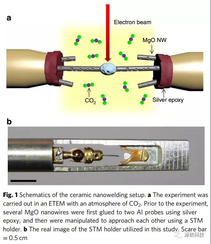 原位TEM-STM系統(tǒng)應(yīng)用 原位TEM-STM系統(tǒng)應(yīng)用