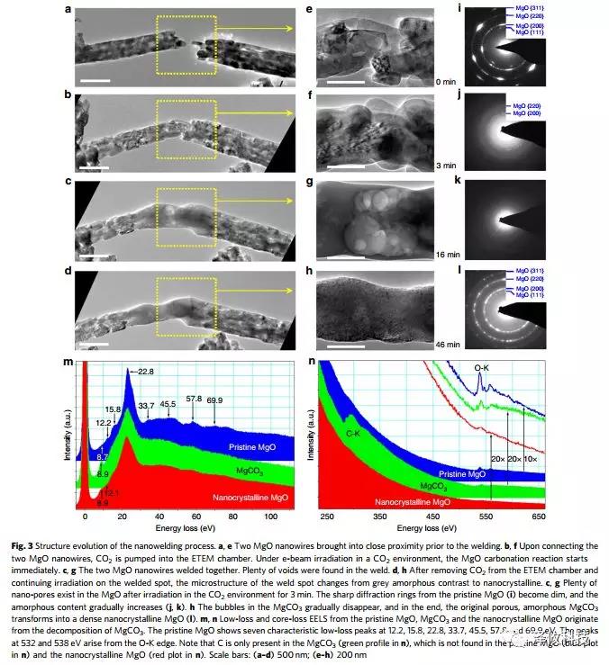 原位TEM-STM系統(tǒng)應(yīng)用案例 原位TEM-STM系統(tǒng)應(yīng)用案例