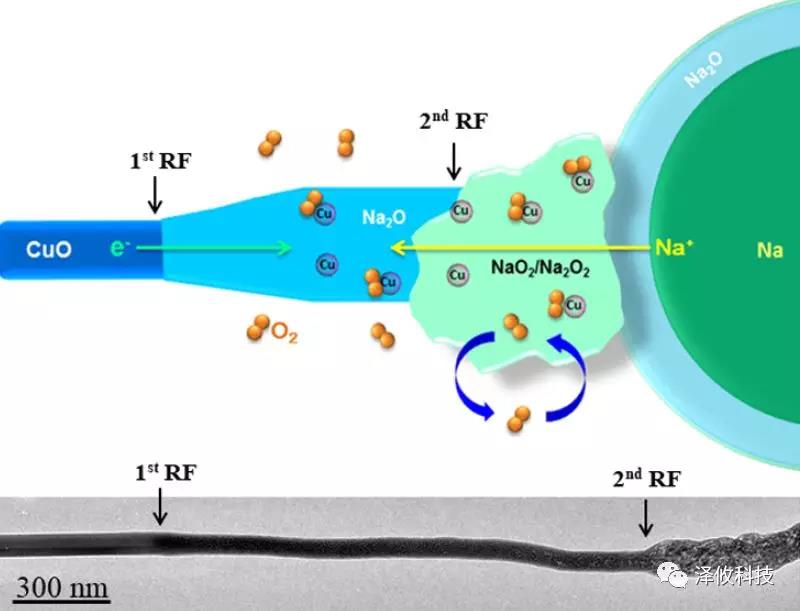 Nano Letter:澤攸科技原位系統應用于固態氧鈉電池(圖2) PicoFemto系列原位樣品桿研究實驗圖1