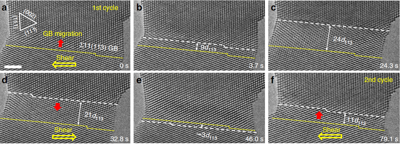原位力學-電學樣品桿遷移圖片 原位力學-電學樣品桿遷移圖片