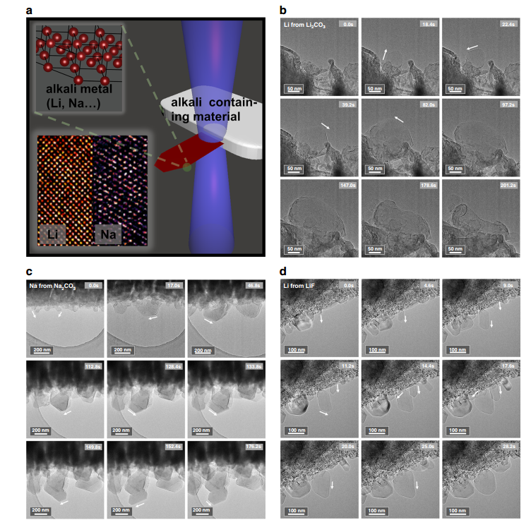 利用原位TEM電學樣品桿觀察電子束誘導下的堿金屬生長過程 利用原位TEM電學樣品桿觀察電子束誘導下的堿金屬生長過程