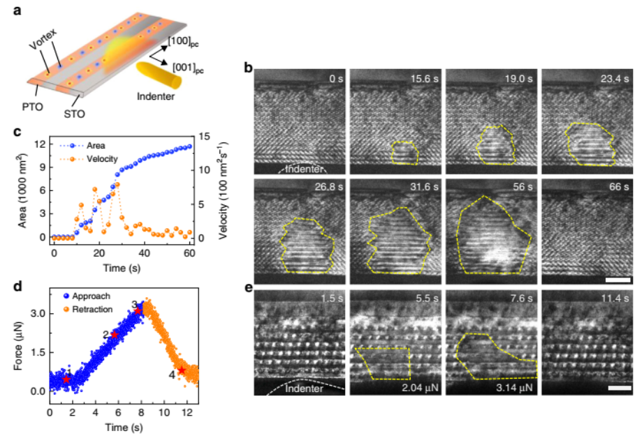 Nature Commun.:物理所揭示原子分辨下的鐵電渦旋疇的原位力學轉變過程(圖4) 原位TEM研究實驗方法圖4:渦旋疇在外力作用下的轉變