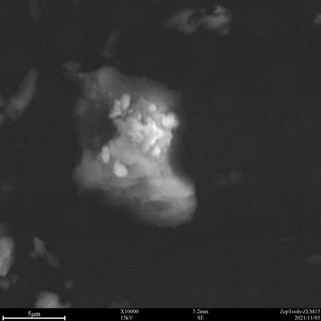 15 kV常規模式拍攝的藥粉表面 15 kV常規模式拍攝的藥粉表面