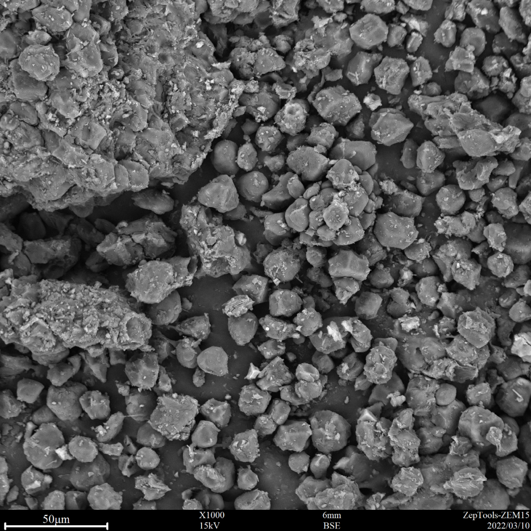 圖10 氯雷他定(臺(tái)式掃描電鏡1000倍照) 圖10 氯雷他定(臺(tái)式掃描電鏡1000倍照)