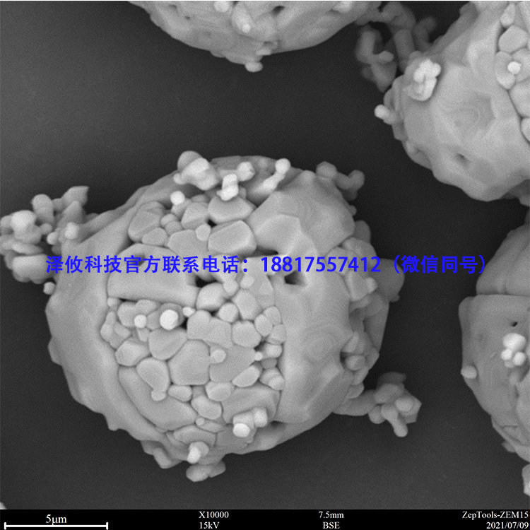 環境對臺式掃描電鏡會產生哪些影響?(圖1) 掃描電鏡拍攝圖13.jpg