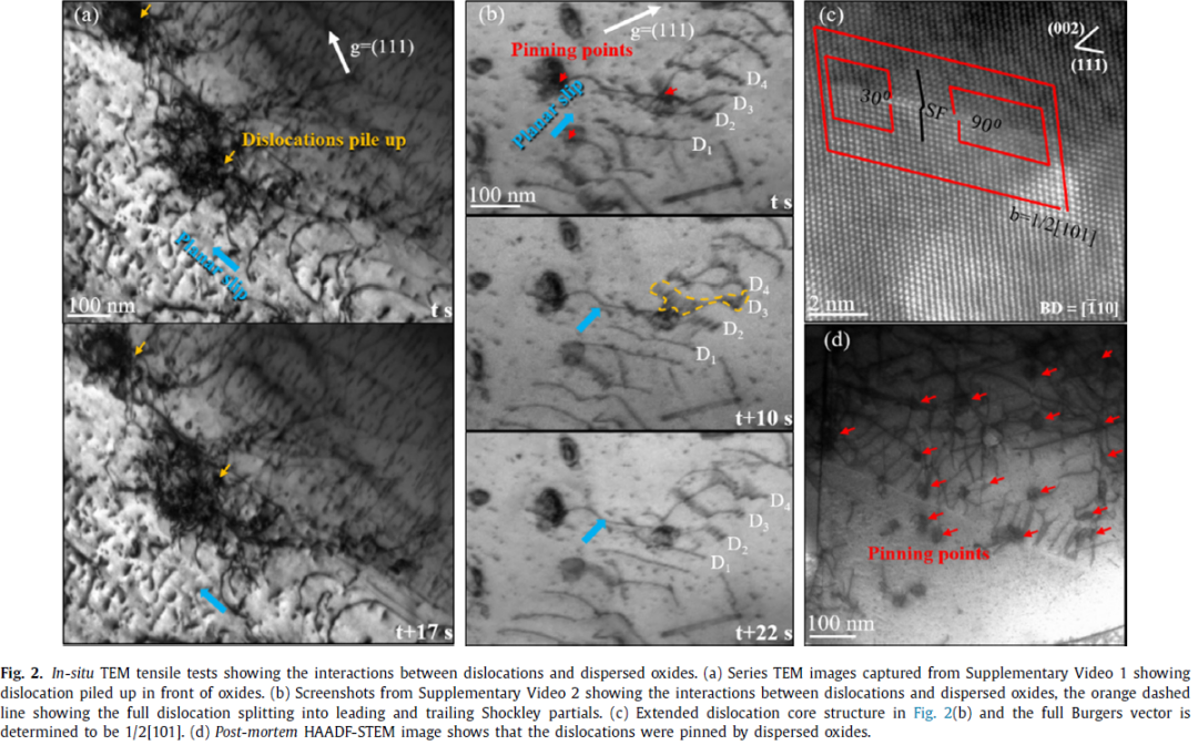 圖2 CrCoNi-O 合金原位拉伸下的微觀結構表征.png 圖2 CrCoNi-O 合金原位拉伸下的微觀結構表征.png