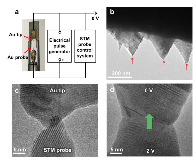 透射電鏡中原位電脈沖實(shí)驗(yàn)裝置的搭建 透射電鏡中原位電脈沖實(shí)驗(yàn)裝置的搭建