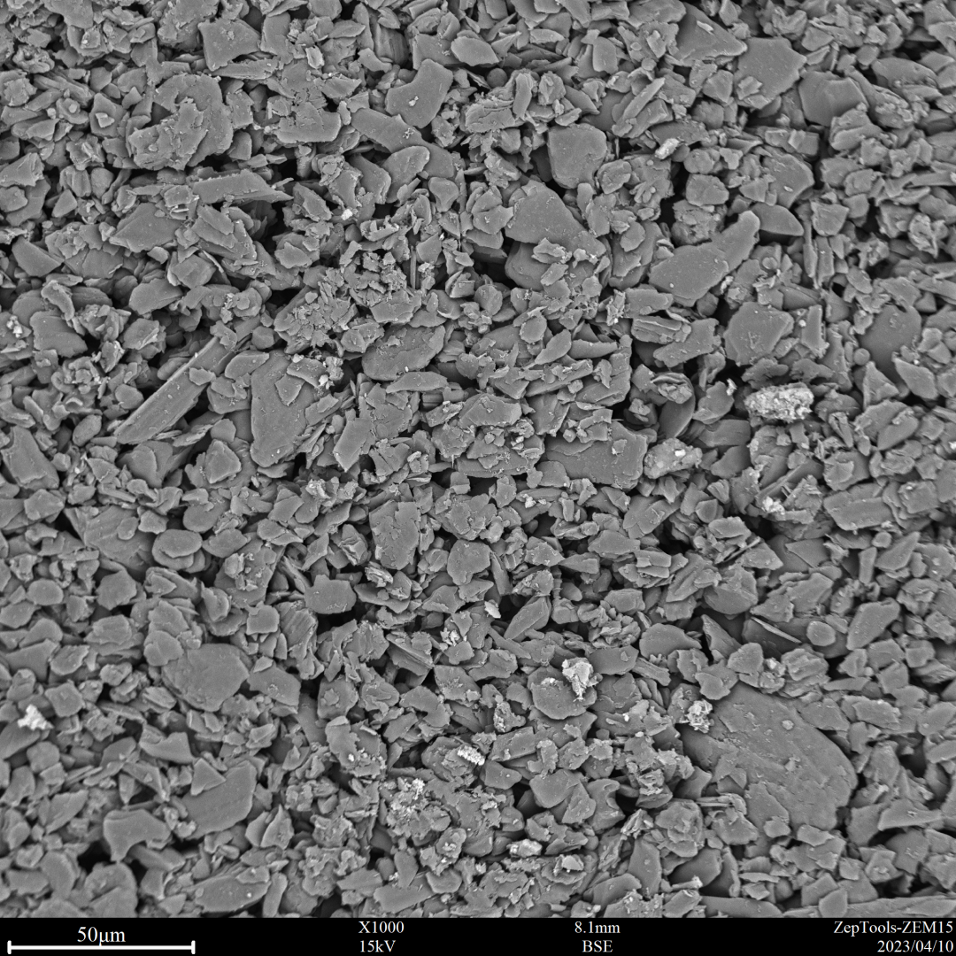 負極極片 負極極片
