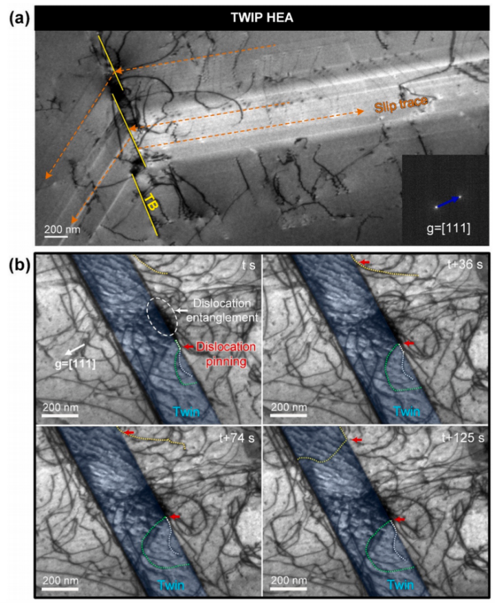 NiCoCrO合金與TWIP HEA的原位TEM拉伸實驗 NiCoCrO合金與TWIP HEA的原位TEM拉伸實驗