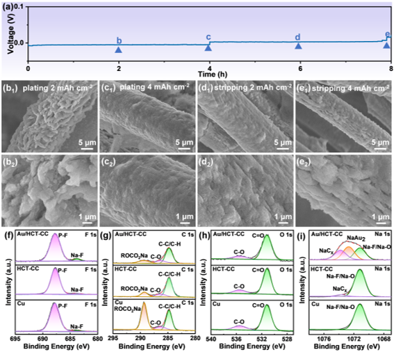 Au/HCT-CC電極沉積剝離的非原位SEM表征和循環(huán)后SEI層的XPS測(cè)試 Au/HCT-CC電極沉積剝離的非原位SEM表征和循環(huán)后SEI層的XPS測(cè)試