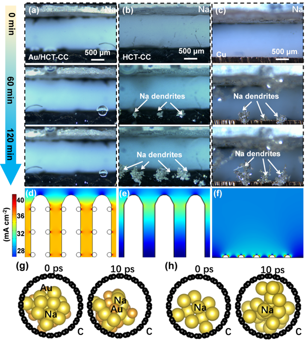 原位光學(xué)和模擬計(jì)算 原位光學(xué)和模擬計(jì)算