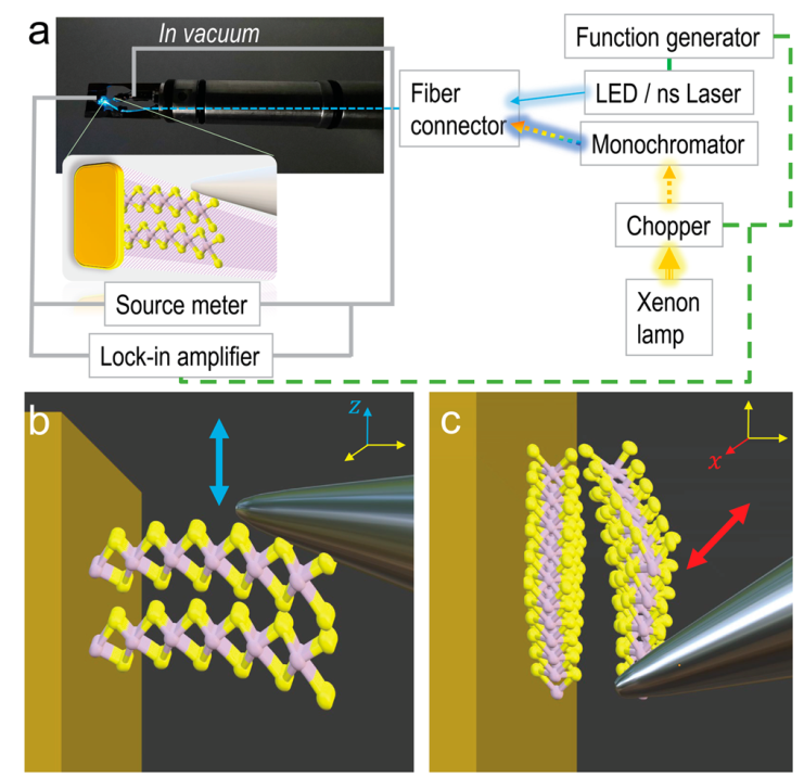 二維納米材料展現出多種力電和光電性能 二維納米材料展現出多種力電和光電性能
