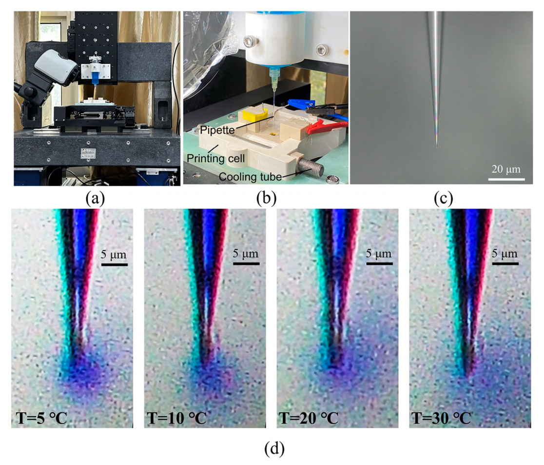 電沉積電解液在支撐電解液中的微觀擴散過程 電沉積電解液在支撐電解液中的微觀擴散過程