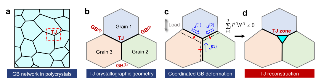 多晶網(wǎng)絡(luò)中三叉晶界的結(jié)構(gòu)轉(zhuǎn)變示意圖 多晶網(wǎng)絡(luò)中三叉晶界的結(jié)構(gòu)轉(zhuǎn)變示意圖