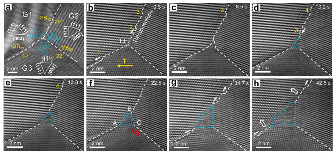 三叉晶界動(dòng)態(tài)重構(gòu)的原位觀測(cè) 三叉晶界動(dòng)態(tài)重構(gòu)的原位觀測(cè)