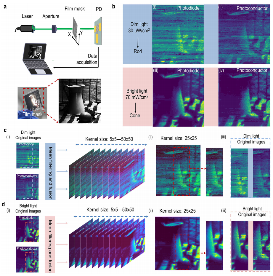 雙模光電探測器在單像素成像和圖像融合中的應用 雙模光電探測器在單像素成像和圖像融合中的應用