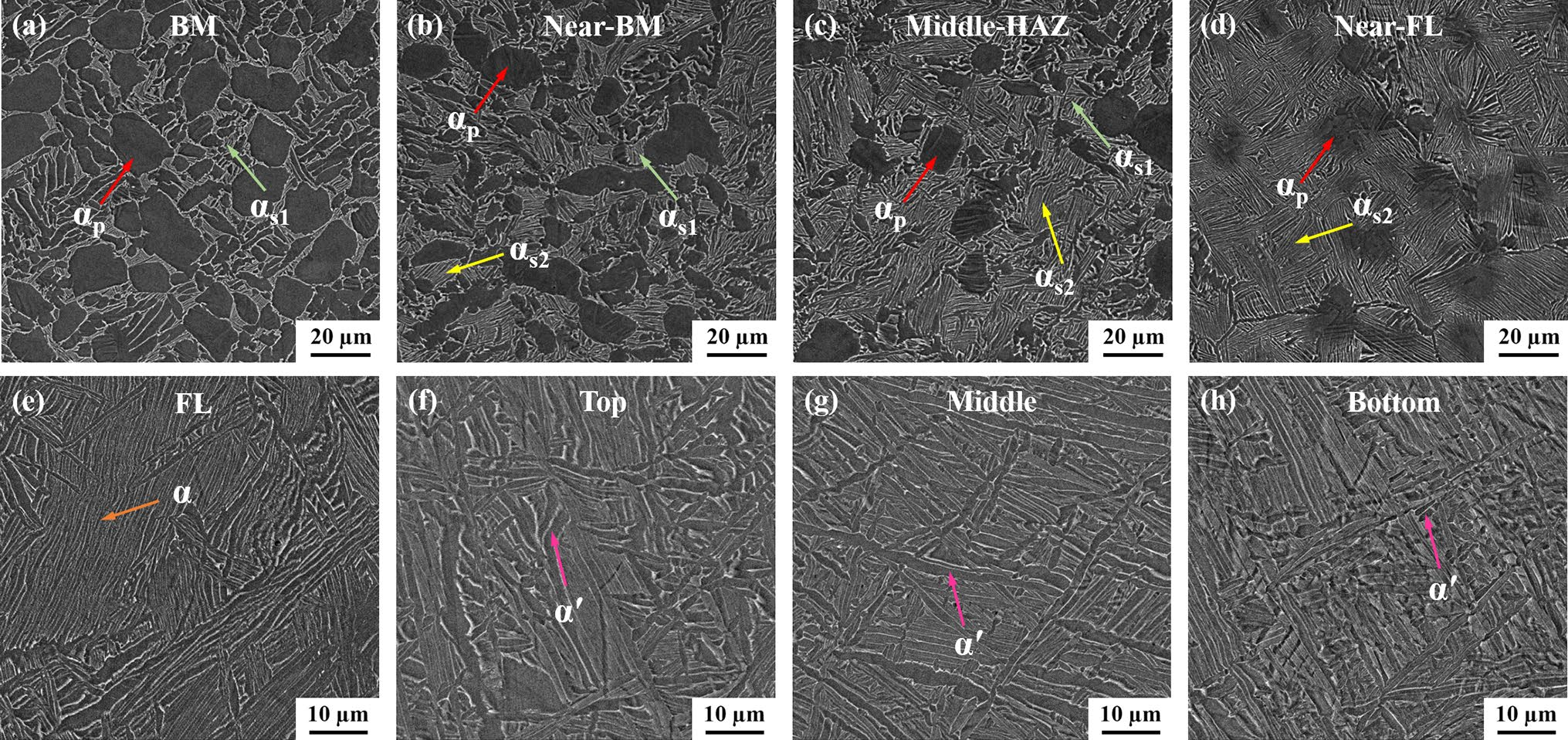 BM及EBW接頭不同區域的掃描電鏡圖 BM及EBW接頭不同區域的掃描電鏡圖