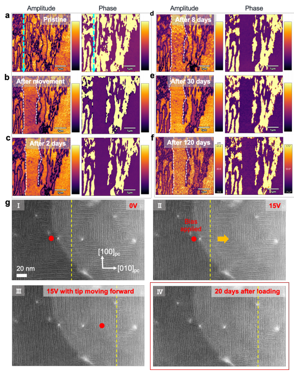澤攸科技原位TEM