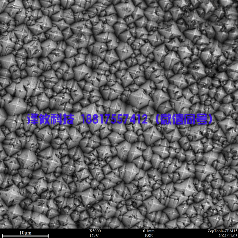 掃描電鏡拍攝圖片 掃描電鏡拍攝圖片